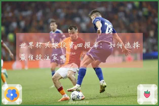世界杯买球投资回报率：如何选择最佳投注策略