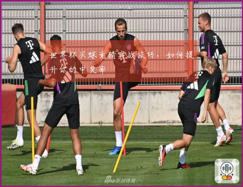 世界杯买球竞猜实战技巧，如何提升你的中奖率