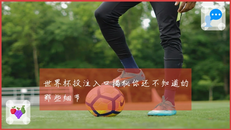 世界杯投注入口揭秘你还不知道的那些细节