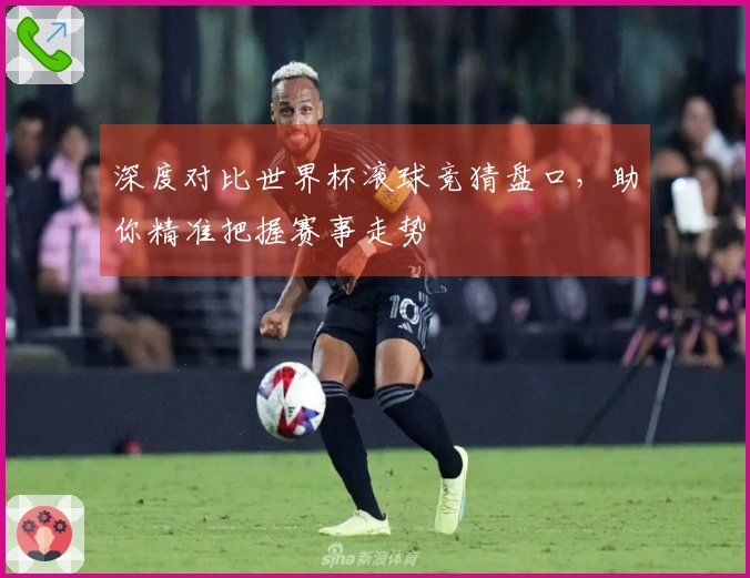 深度对比世界杯滚球竞猜盘口，助你精准把握赛事走势