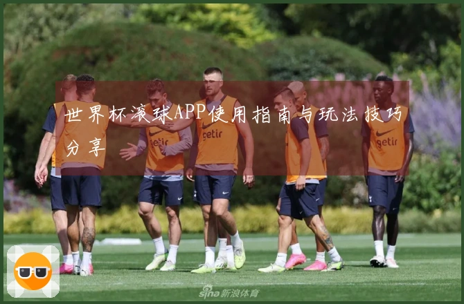 世界杯滚球APP使用指南与玩法技巧分享