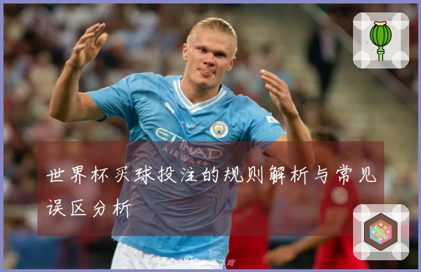 世界杯买球投注的规则解析与常见误区分析