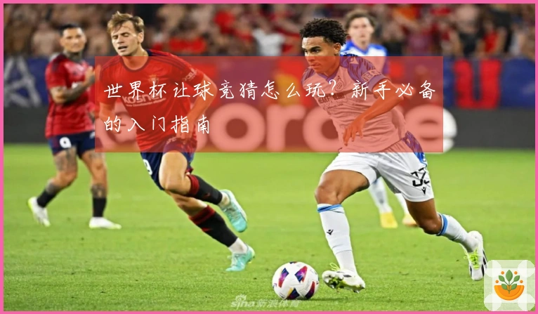 世界杯让球竞猜怎么玩？新手必备的入门指南