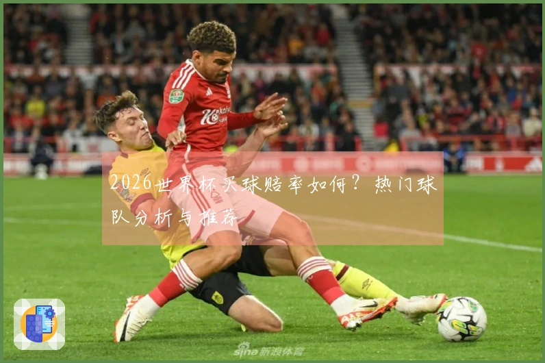 2026世界杯买球赔率如何？热门球队分析与推荐