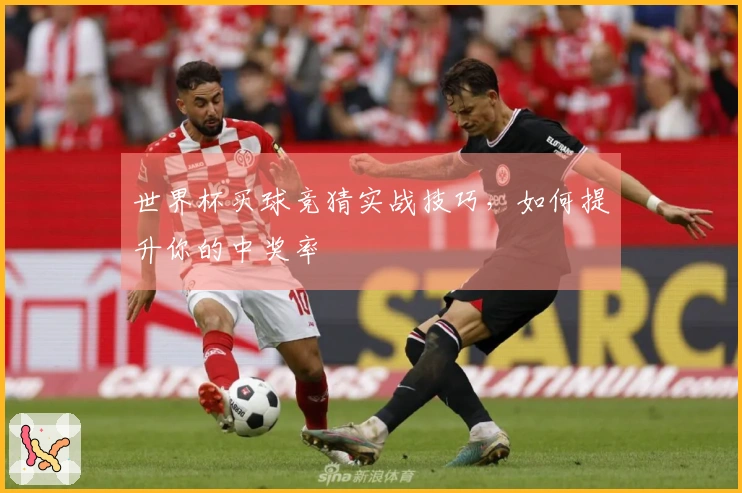 世界杯买球竞猜实战技巧，如何提升你的中奖率