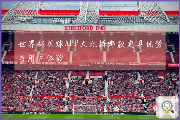 世界杯买球APP大比拼哪款更具优势与用户体验