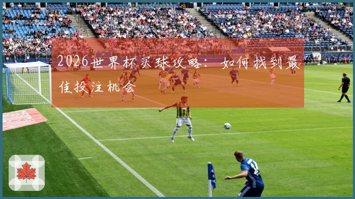 2026世界杯买球攻略：如何找到最佳投注机会