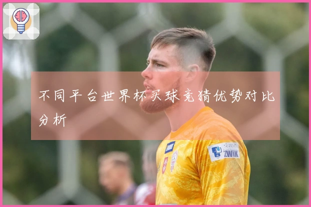 不同平台世界杯买球竞猜优势对比分析