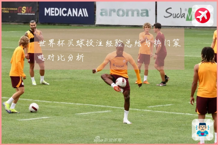 世界杯买球投注经验总结与热门策略对比分析