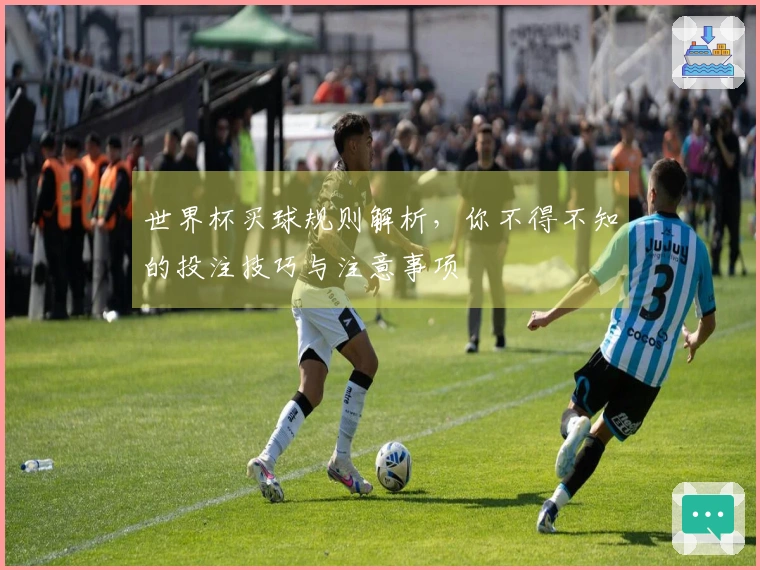 世界杯买球规则解析，你不得不知的投注技巧与注意事项