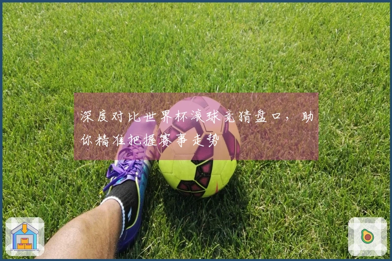 深度对比世界杯滚球竞猜盘口，助你精准把握赛事走势