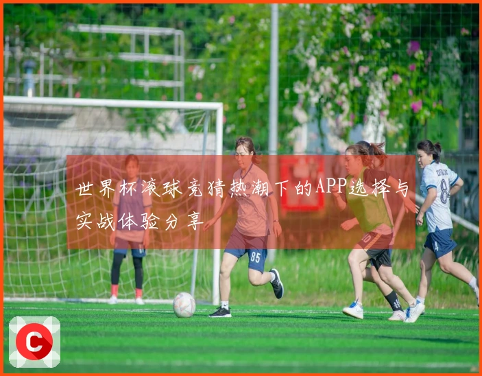 世界杯滚球竞猜热潮下的APP选择与实战体验分享