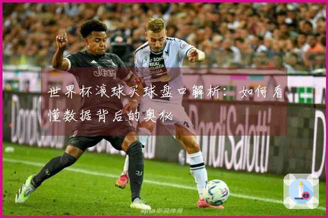 世界杯滚球买球盘口解析：如何看懂数据背后的奥秘