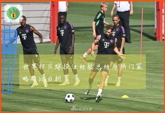 世界杯买球投注经验总结与热门策略对比分析