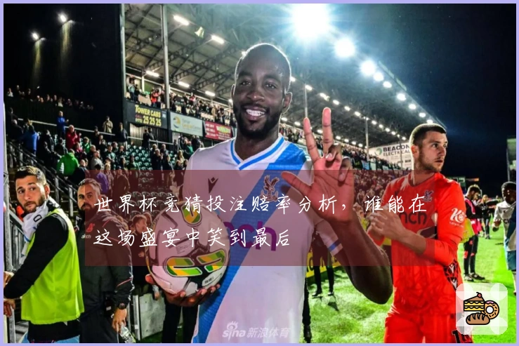世界杯竞猜投注赔率分析，谁能在这场盛宴中笑到最后