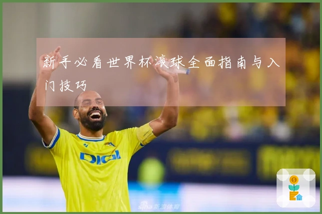 新手必看世界杯滚球全面指南与入门技巧