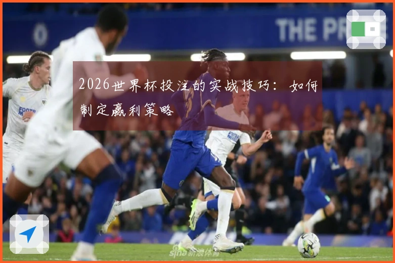 2026世界杯投注的实战技巧：如何制定赢利策略