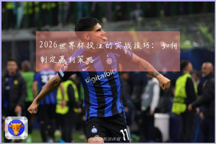 2026世界杯投注的实战技巧：如何制定赢利策略