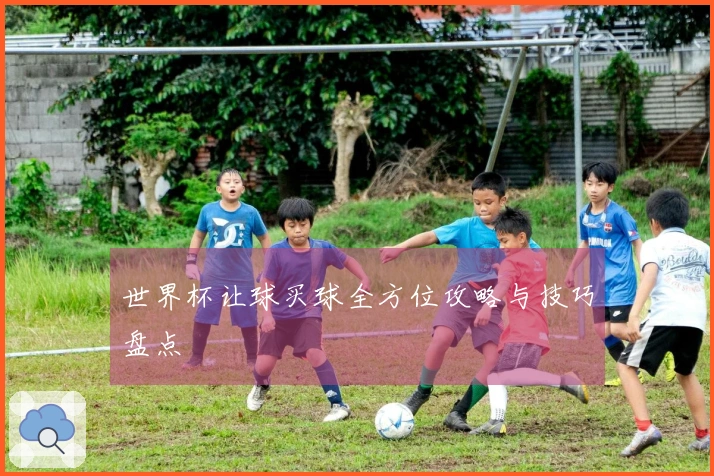 世界杯让球买球全方位攻略与技巧盘点