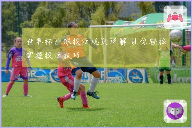 世界杯让球投注规则详解 让你轻松掌握投注技巧