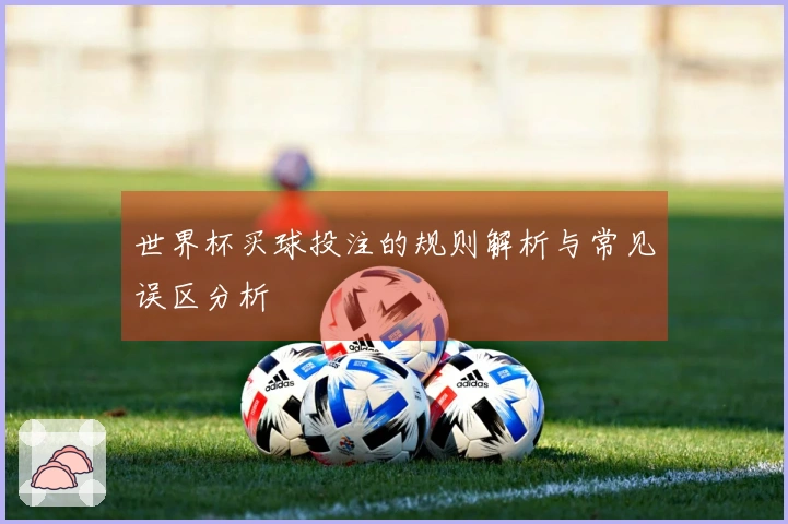 世界杯买球投注的规则解析与常见误区分析