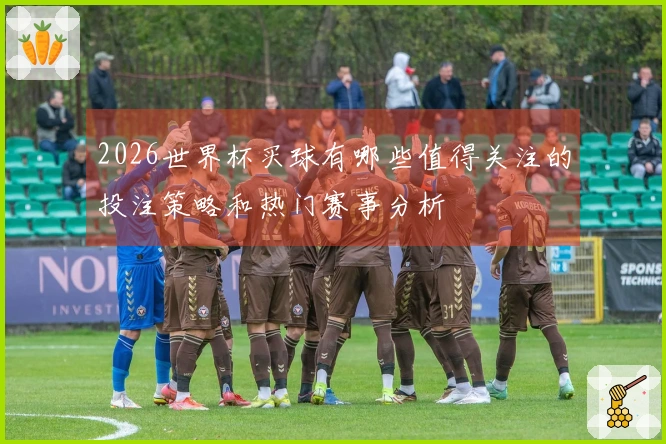 2026世界杯买球有哪些值得关注的投注策略和热门赛事分析