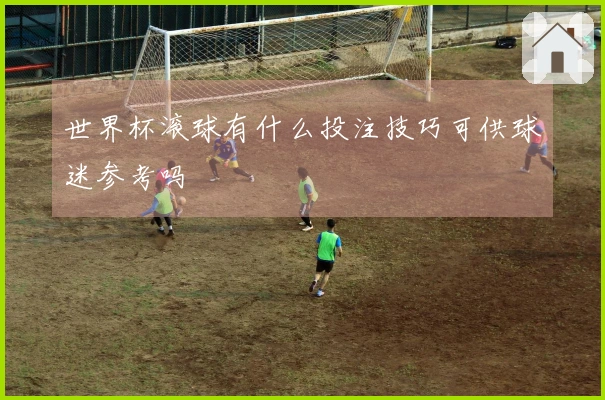世界杯滚球有什么投注技巧可供球迷参考吗