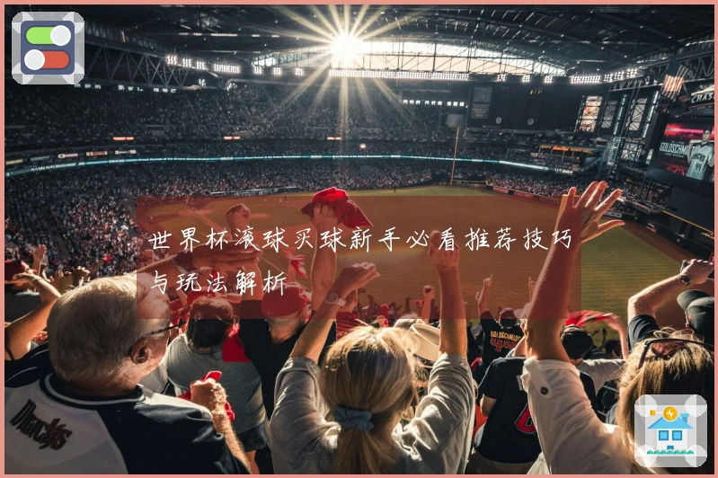 世界杯滚球买球新手必看推荐技巧与玩法解析